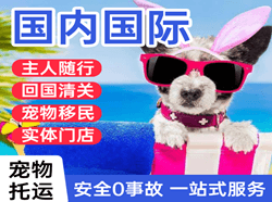 中卫沙坡头机场快递国际宠物托运 【国